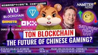 Elon Musk’s not guilty charge, meme coin builds church, crypto owners prefer Trump ⚡️ Hamster News