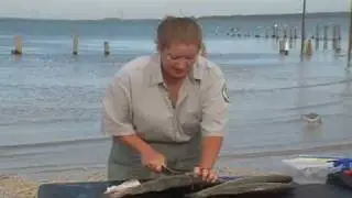 Fishing 101: How to Clean & Store Your Catch