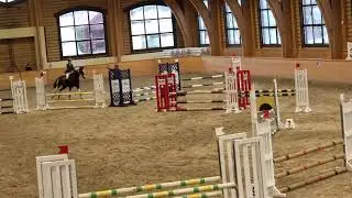 Конкур до 80см, КСК Пегас Ангелина/Волга (25.11.2018)