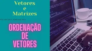 Introdução a ordenação de vetores