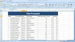 Intro to Basic PivotTables and Source Data Requriements in Excel 2007 (Excel 07-101)