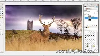 Layers in GIMP: Basic Introduction