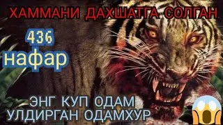 Булган Вокеа Одамхур Йулбарс Охиригача Куринг 