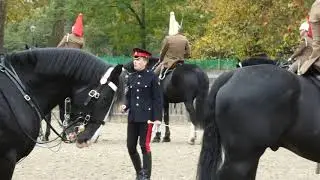 The Household Cavalry