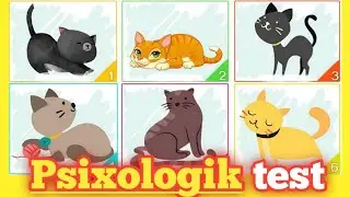 Qaysi birini tanlaysiz.Psixologik testlar. Psixologiya. Apelsin. Bilib oling. Psixolog.2021