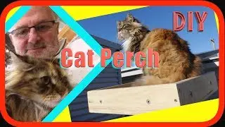 Cat Perch Build | How to DIY