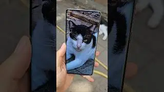 Vivo X100 Ultra Camera Test 🔥
