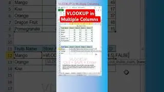 VLOOKUP in Multiple Columns