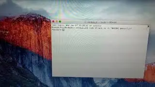 Mac OS X Kernel Panic (+ Command)