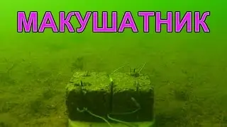 Пробовал под водой классический МАКУШАТНИК 🐟хотелось показать, что это не жаберный способ ловли рыбы