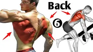 6 Best Exercises For Massive Big Back Workout