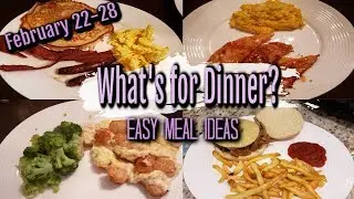 WHAT'S FOR DINNER? | FEBRUARY 22-28 | EASY MEAL IDEAS | MANDY IN THE MAKING