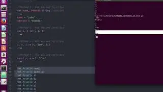 Go Golang Programming 6 - Declare and Initialise Multiple Variables at once