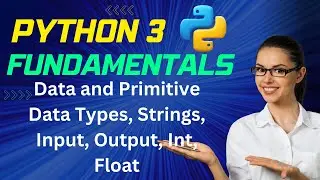 Python 3 Fundamentals: Data Types, Primitive Data Types, Strings, Input, Output, Int, Float | EP3