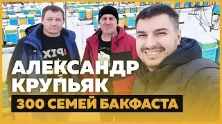 Александр Крупьяк – 300 семей Бакфаста, улья ППС, саморазвитие [УКР]