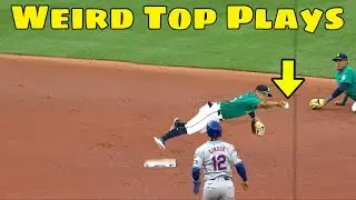 MLB | Best Plays August 2024 2