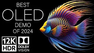 BEST OLED DEMO OF 2024 - DOLBY VISION 12K HDR 120fps