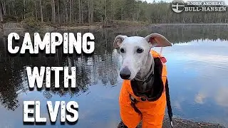 Camping with my dog | Bjorn Andreas Bull-Hansen