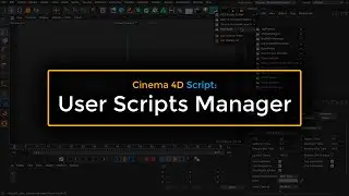 User Scripts Manager