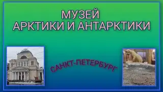 🚗 VLOG: Музей Арктики и Антарктики/ Переезжаем в особняк Молво/ День 5