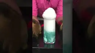 Dry Ice Science Experiment 