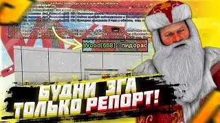 ЭГЭ-ГЭЙ! ОТВЕЧАЕМ НА РЕПОРТ БЫСТРЕЕ ВСЕХ! КОНКУРЕНЦИЯ ОТСТУСТВУЕТ [RADMIR]