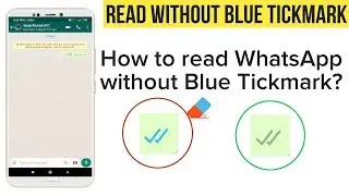 How to Read WhatsApp Messages without Blue Tick Marks 2020 latest update