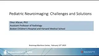 Brainmap: Pediatric Neuroimaging: Challenges and Solutions