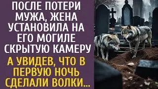 После потери мужа, жена установила на его могиле скрытую камеру… А увидев, что ночью сделали волки…