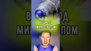 Как выглядят вещи под микроскопом?