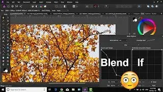 How to remove tree background in affinity photo