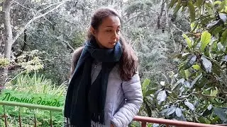 Летний дождь