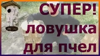 ЛУЧШАЯ бюджетная ловушка для пчел! Как сделать ловушку для пчел. Борть для пчел