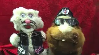 Puppet Patch in Burt and CindyGal. The Puppet Bikers tell another Stupid Muppet Puppet Story