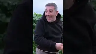 ekip altın için birbirine girdi