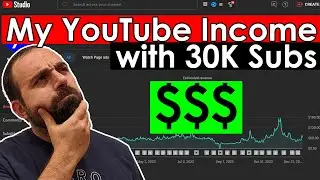 How Much Money I Made On YouTube All Year with 30K Subs