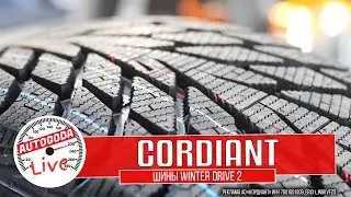 Выбор зимних шин  Cordiant Snow Cross vs Cordiant Winter Drive 2