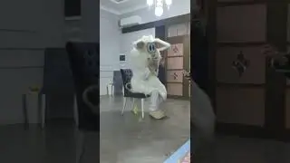 Буба приехал на день рождения и устроил там праздник. #буба #аниматорывмайкопе