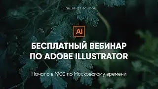 Основы Adobe Illustrator