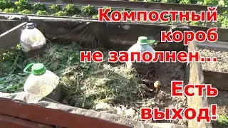 Кабачки на компостной грядке без удобрений и всегда с урожаем! Кабачки, тыквы в пластиковых бутылках