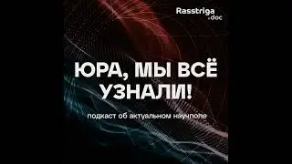 Что такое русский рок: от подполья до Z-концертов