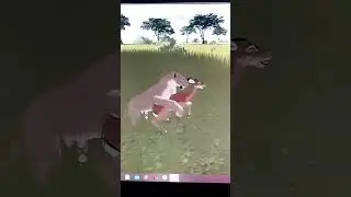 wild savannah lioness and импала #lion #hunt #fight #wildsavannah #animal #roblox #wildsavannah