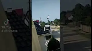 Яша влетает в провода 