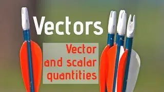 Vector and scalar quantities