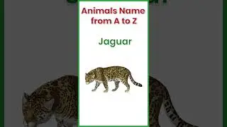 A to Z Animal 🐅 🐘 Names with Picture | Animals Name for Kids | Alphabet A to Z | #kidsshortvideos