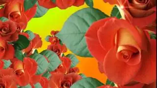 ФУТАЖ Розы - Footage Roses