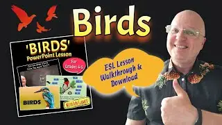 Birds - Grade 4-5 ESL Lesson Walkthrough and Download