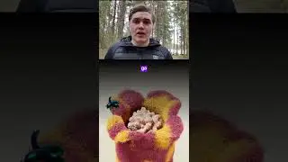 ИСПОВЕДЬ СОЦИОФОБА | БОЛЕЗНЬ УПУЩЕННЫХ ВОЗМОЖНОСТЕЙ 🅰 