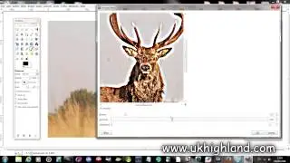Unsharp Mask in GIMP:  A Basic Tool