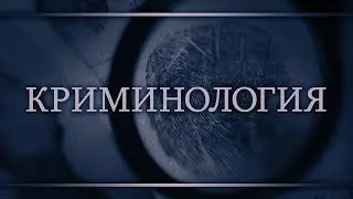 Криминология. Лекция 4. Корыстная преступность